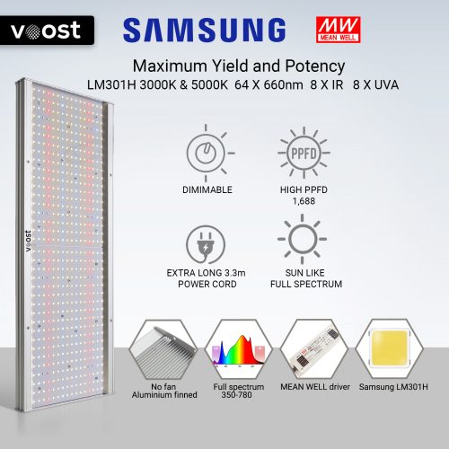 Voost 2000 W Samsung LM301H Full Spectrum DEL Grow Light MeanWell remplacer 600 W 